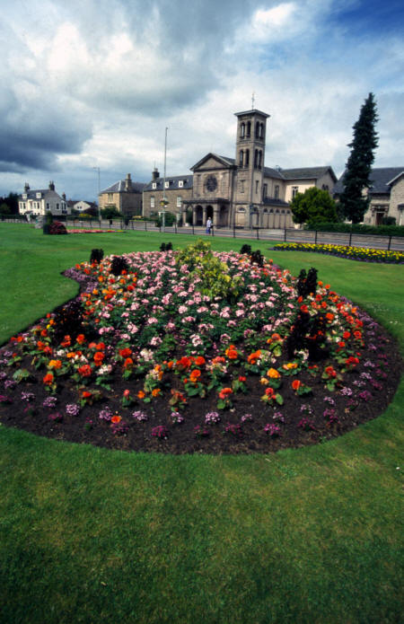 forres in bloom picture photograph