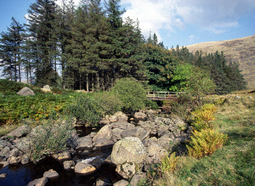 glen afton picture photogrph image