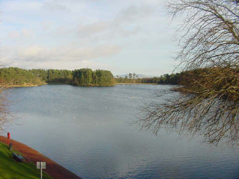 picture of scottish lake loch photograph fishing lanark