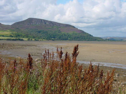 Loch Fleet photograph